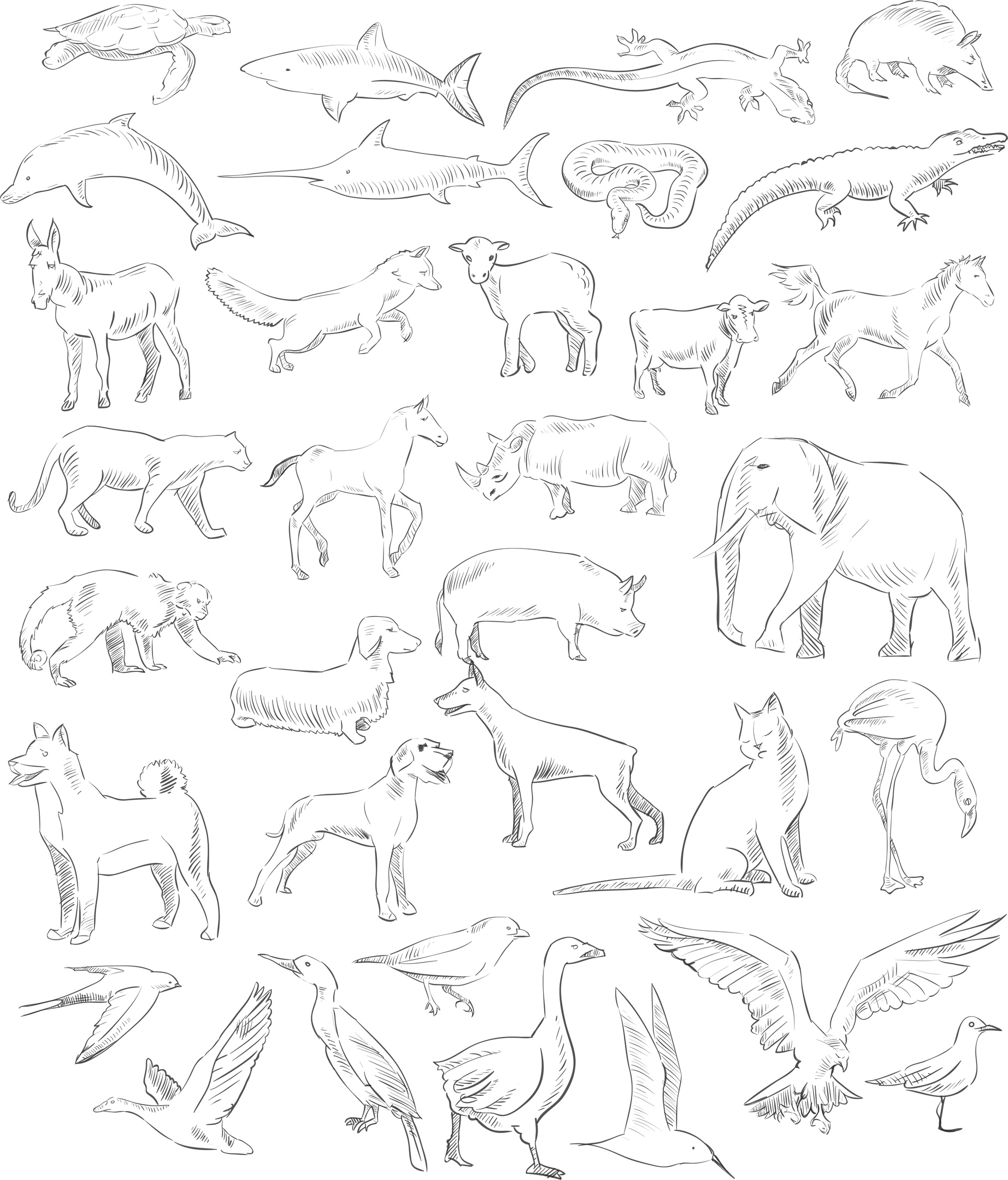 Conjunto de animales dibujados a mano