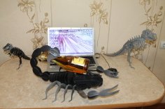 Lasergeschnittener Skorpion