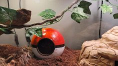 Pokeball Hide 3D Printer Model