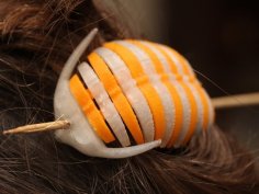 Skewered Trilobite Hair Clip (small, Simplified, Plated) 3D Printer Model