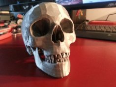 Human Skull 3D Printer Model