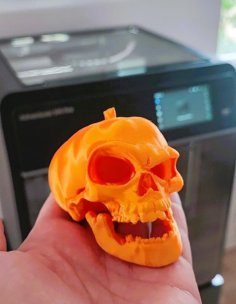 Halloween Pumpkin Skull 3D Printer Model