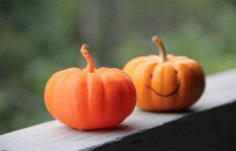 Pumpkin – REAL HIGH RES 3D Scan Halloween 3D Printer Model