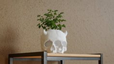 Triclops Baby Skull Planter 3D Printer Model