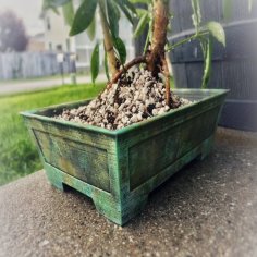 Rectangular Bonsai Pot (180x120x50 Mm) No Supports 3D Printer Model