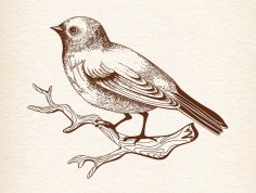 Clipart vectoriel d'oiseau