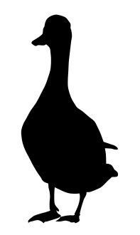 فایل dxf Silhouette Mallard Duck
