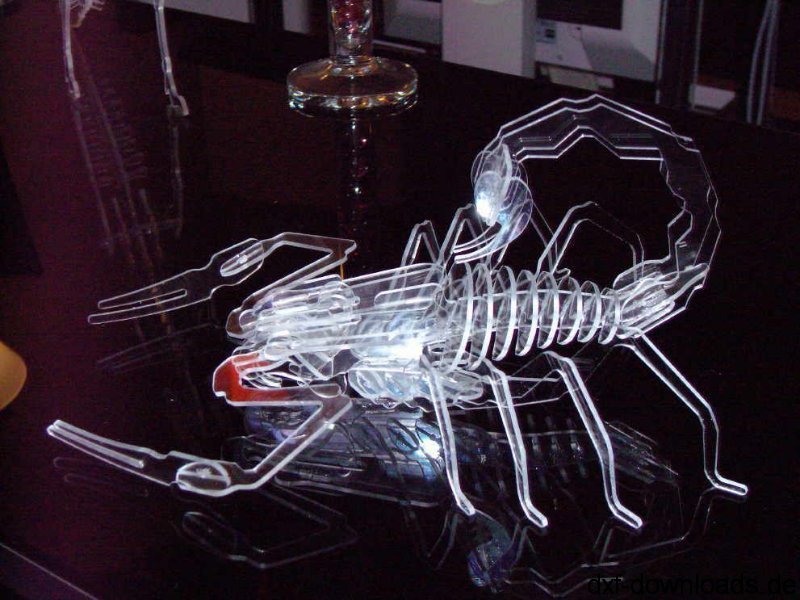 File dxf del puzzle 3D dello scorpione