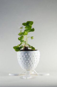 Strawberry Planter 3D Printer Model