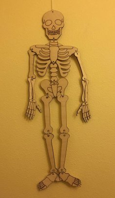 Esqueleto