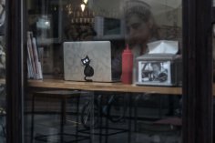 레이저 컷 노트북 스티커 고양이 8x15cm