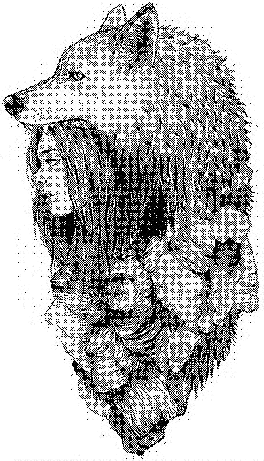 Mẫu nghệ thuật khắc laser cô gái sói