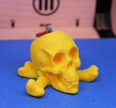 Skull & Crossbones 3D Printer Model