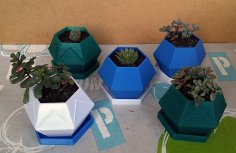 Hexagon Sukkulenten Pflanzgefäß (succulent Planter) 3D Printer Model