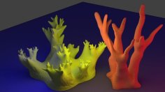 Coral Reef 3D Printer Model