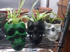 Skull Pot 3D Printer Model