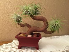 Bonsai Tree And Pot 3D Printer Model