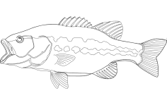 Forellenbarsch Fisch dxf-Datei