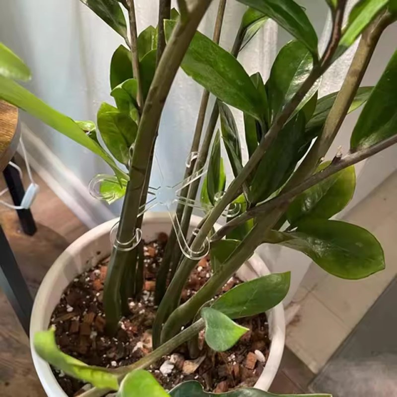 Laser Cut Plant Stem Support Clips Clear Acrylic Plant Holders