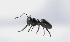 An Ant 3D Model 3D Printer Model