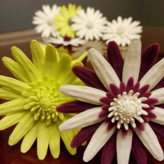 Daisy – Flat Flower 3D Printer Model