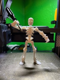 Skeleton Kit If I Get 500 Likes I Will Add More Accessories 3D Printer Model