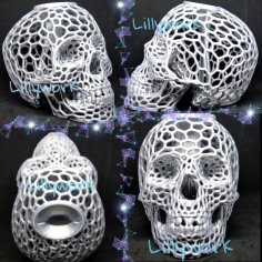 Voronoi Skull Bank With Lid 3D Printer Model