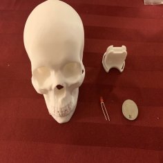 Glowing Skull 3D Printer Model