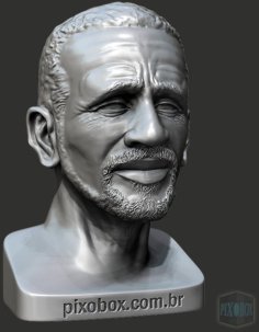 Human Head 3D Printer Model