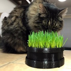 Cat Grass Planter 3D Printer Model