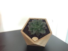 Penta Self Watering Flower Pot 3D Printer Model