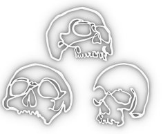 3 Skulls 3D Printer Model