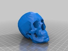 Skull 3D Printer Model