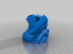 Anatomical Heart Vase Divided 3D Printer Model