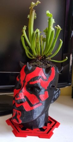 Darth Maul Planter (remix) 3D Printer Model