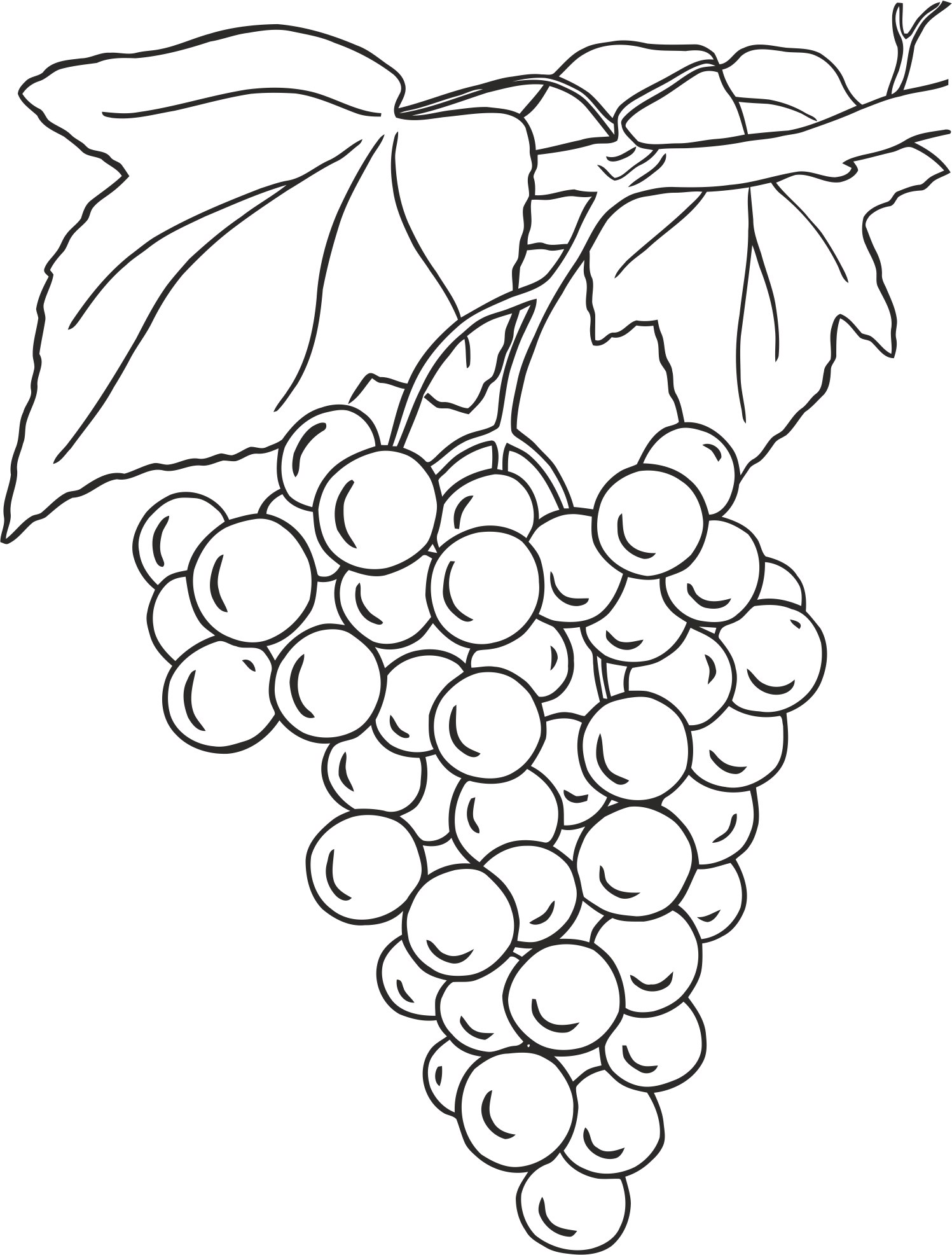 Diseño de uvas