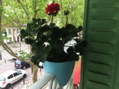 Plant Pot / Hanging Planter 3D Printer Model