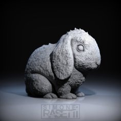 Rabbit 3D Printer Model