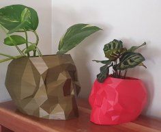 Geometric Skull Pot With Drainage 3D Printer Model