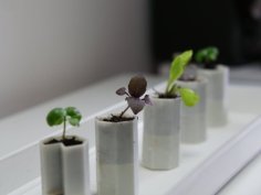 Tiny Self-watering Planter 3D Printer Model