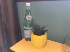 Pineapple Planter 3D Printer Model