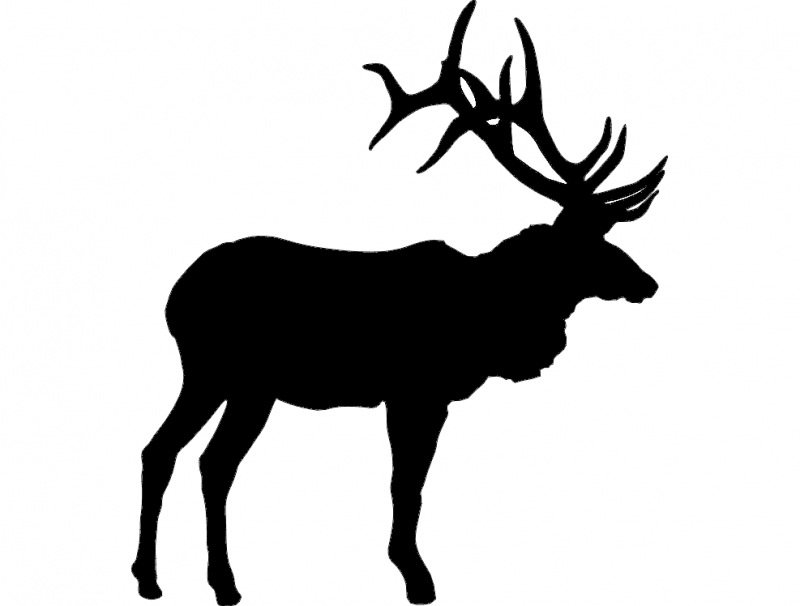 Large Bull Elk dxf File