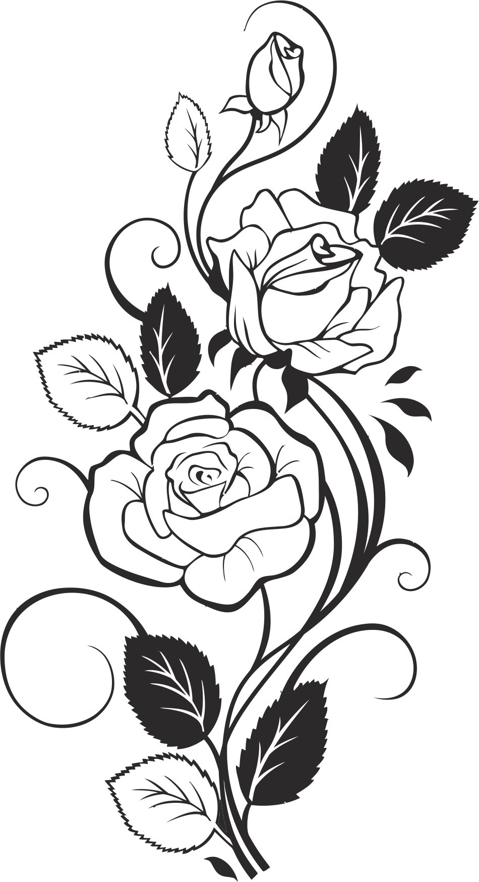 Download Black and White Rose Vector Free Vector cdr Download - 3axis.co