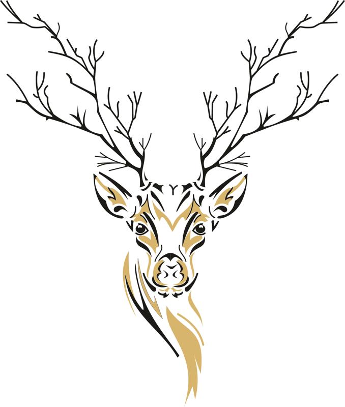 Download Deer Sketch Free Vector cdr Download - 3axis.co