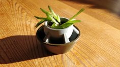 Small Flowerpot With Drainage Holes 3D Printer Model