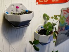 Wall Planter (Multiple Sizes) 3D Printer Model