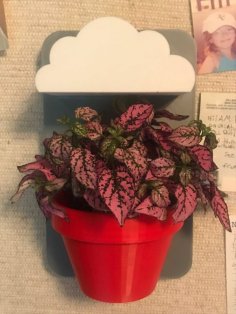 Wall-Mounted Planter 3D Printer Model