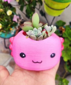 Baby Axolotl Planter 3D Printer Model