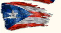 Puerto Rican Flag dxf File