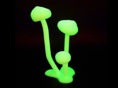 Glowing Mushrooms 3D Printer Model